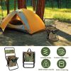 LakeForest Folding Fishing Chair, Backrest and Cooler Bag