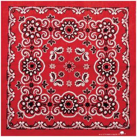 TEXAS PAISLEY BANDANA RED