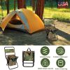 LakeForest Folding Fishing Chair, Backrest and Cooler Bag