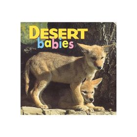 DESERT BABIES - NORTHWOOD