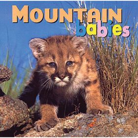 MOUNTAIN BABIES - NORTHWOOD