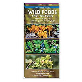 WILD FOODS AND FORAGING