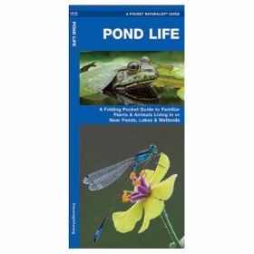 POND LIFE - JAMES KAVANAGH