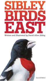 SIBLEY BIRDS EAST - DAVID SIBLEY