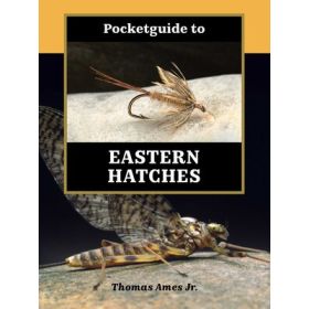 POCKETGUIDE TO EASTERN HATCHES - THOMAS AMES JR.