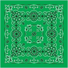 TEXAS PAISLEY BANDANA KELLEY - 27" X 27"