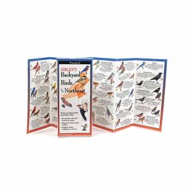 SIBLEY'S BACK BIRDS OF NE - DAVID ALLEN SIBLEY