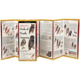 SIBLEY'S OWLS OF NORTH AMERICA - DAVID ALLEN SIBLEY