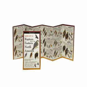 SIBLEY'S RAPTORS OF EASTERN NA - DAVID ALLEN SIBLEY