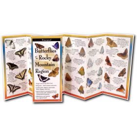 BUTTERFLIES ROCKIES GUIDE - RICK CECH