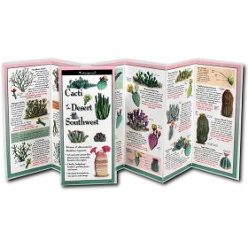 CACTI DESERT SOUTHWEST GUIDE