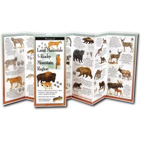 MAMMALS OF ROCKIES GUIDE - FIONA REID