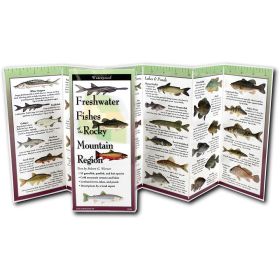 FOLDING GUIDE FISH ROCKY MTN - DR. ROBERT WERNER