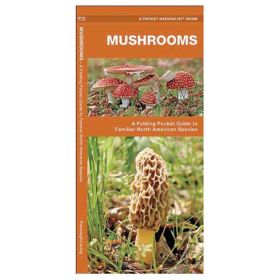 MUSHROOMS - JAMES KAVANAGH