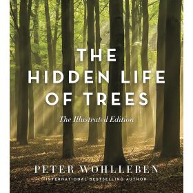 HIDDEN LIFE OF TREES - PETER WOHLLEBEN